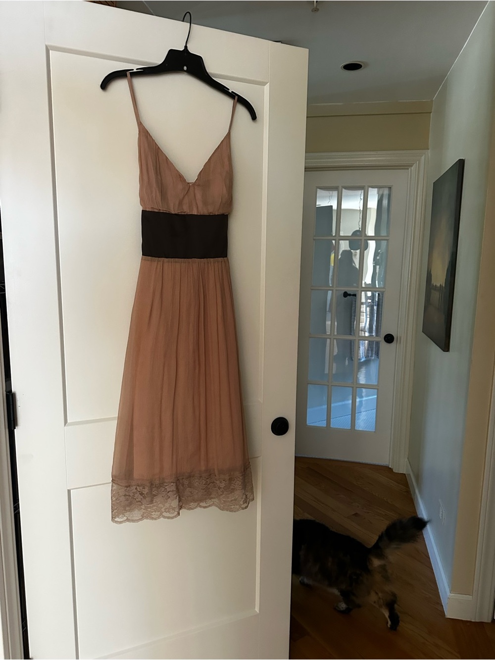 Madison Dusty Rose Midi Dress with Dark Brown Waistband - Picture 1 of 7